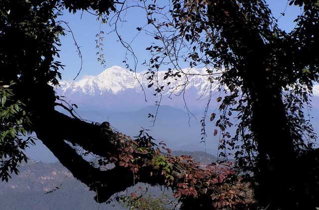 Binsar Trek