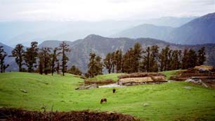 Chopta